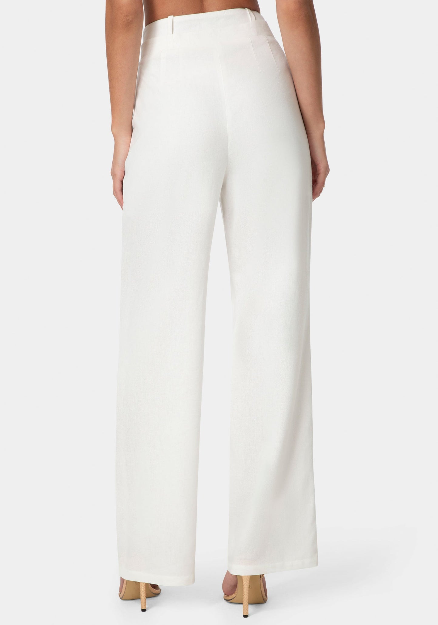 Pleated Linen Wide Leg Pant