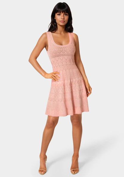 Sleeveless Fit and Flare Pointelle Mini Dress