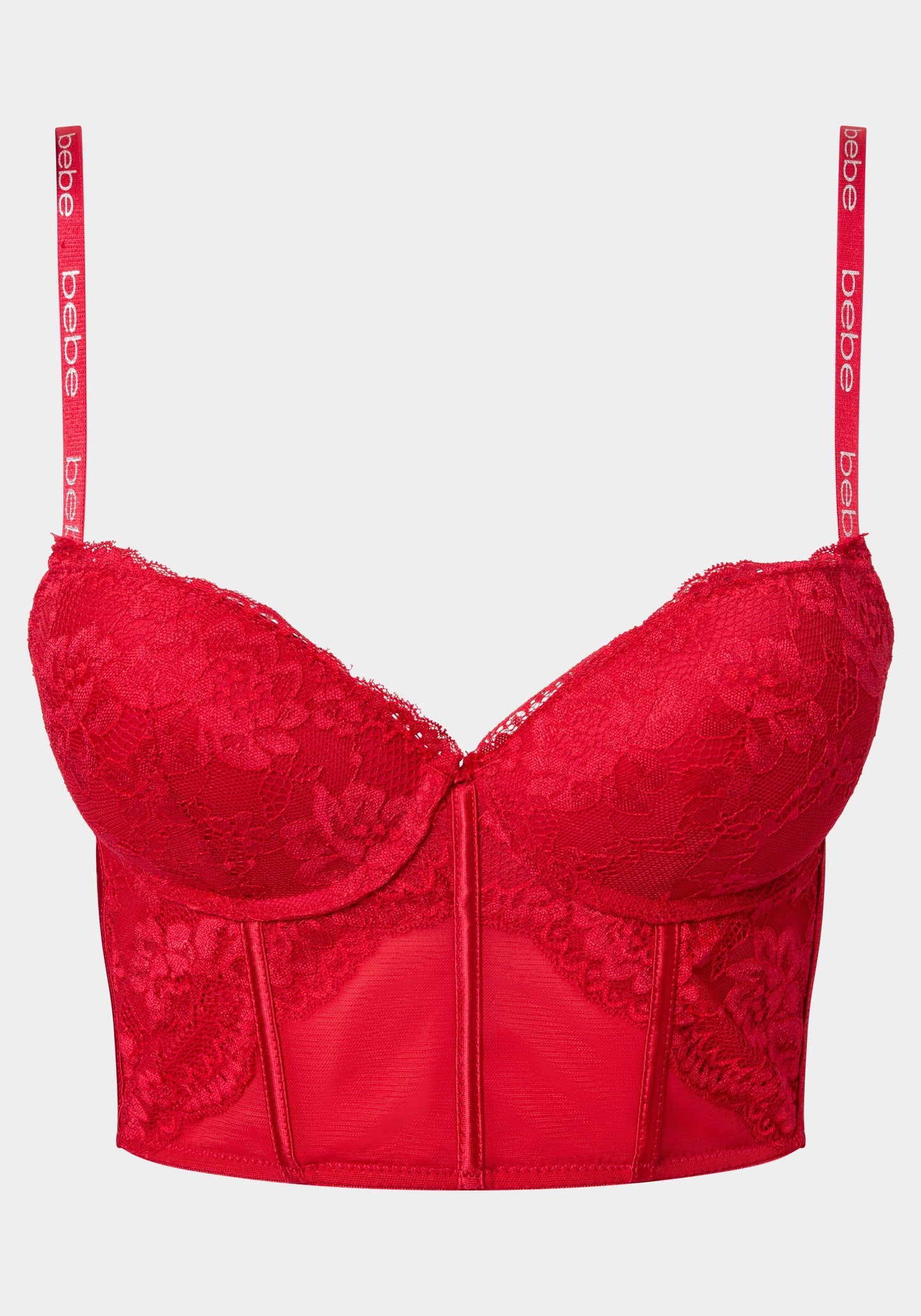 Lace and Mesh Push Up Bustier Long Line Bra