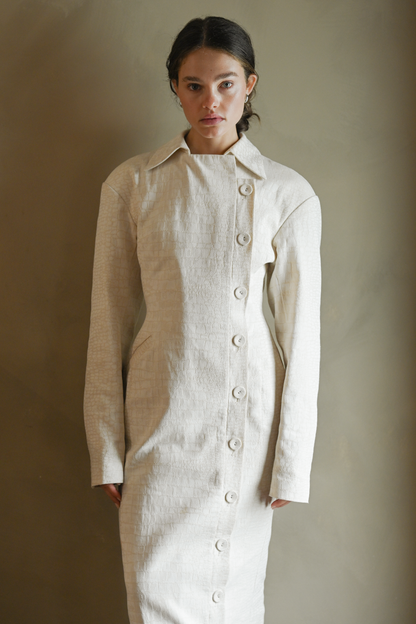 Blythe Trench Dress — Snakeskin
