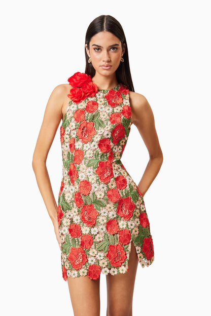 Roselyn Embroidered Mini Dress In Red