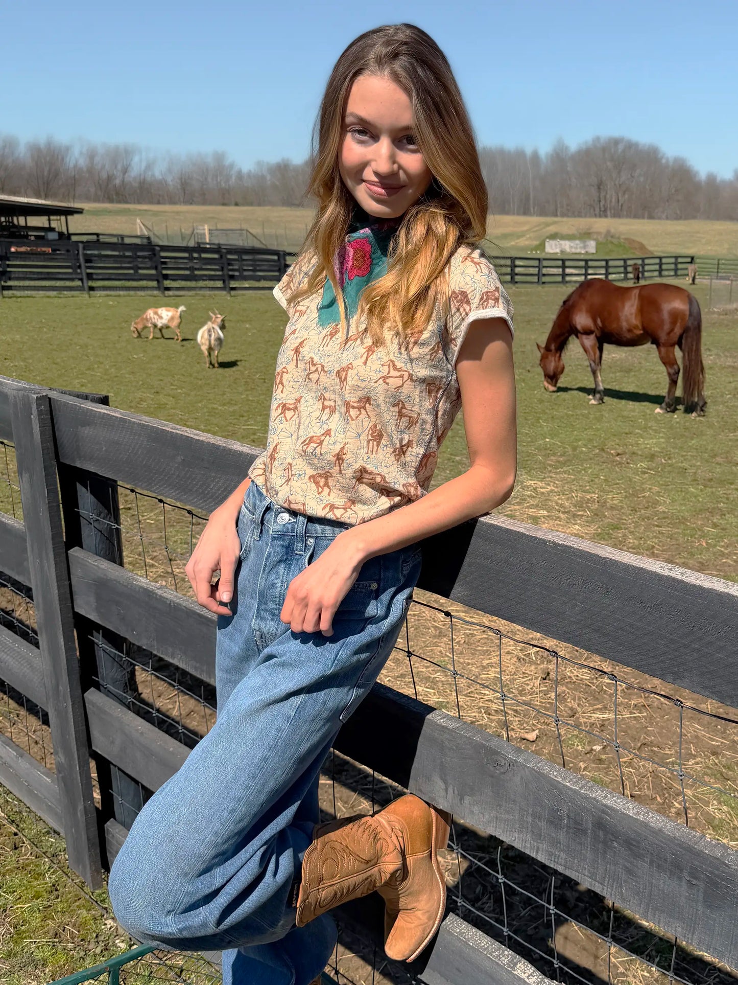 Lily Cotton Short Sleeve Tee Shirt - Horses