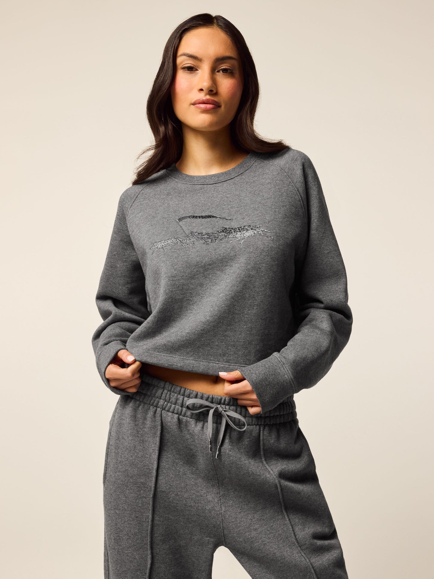 Aspen Cropped Crewneck