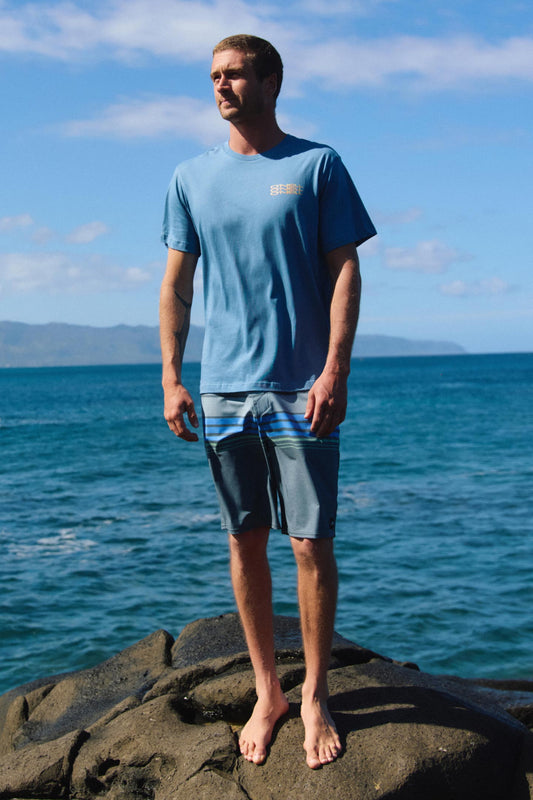 Hyperfreak Heat Stripe 20" Boardshorts