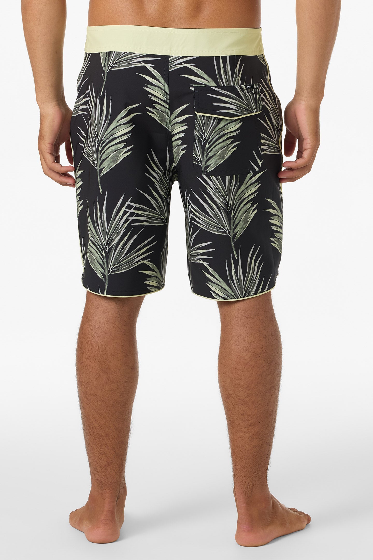 Hyperfreak Mysto Scallop 19" Boardshorts
