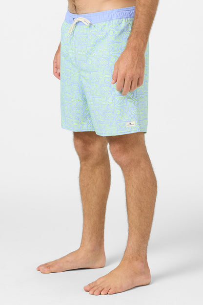 Hermosa Elastic Waist Lined 17" Swim Trunks