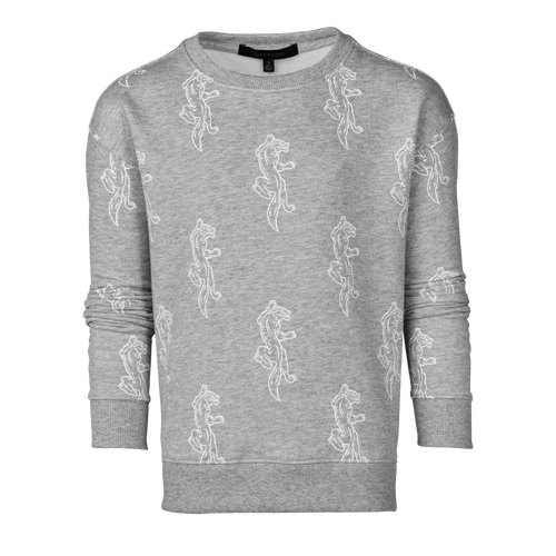 Youth Climbing Wolf Crewneck Sweatshirt