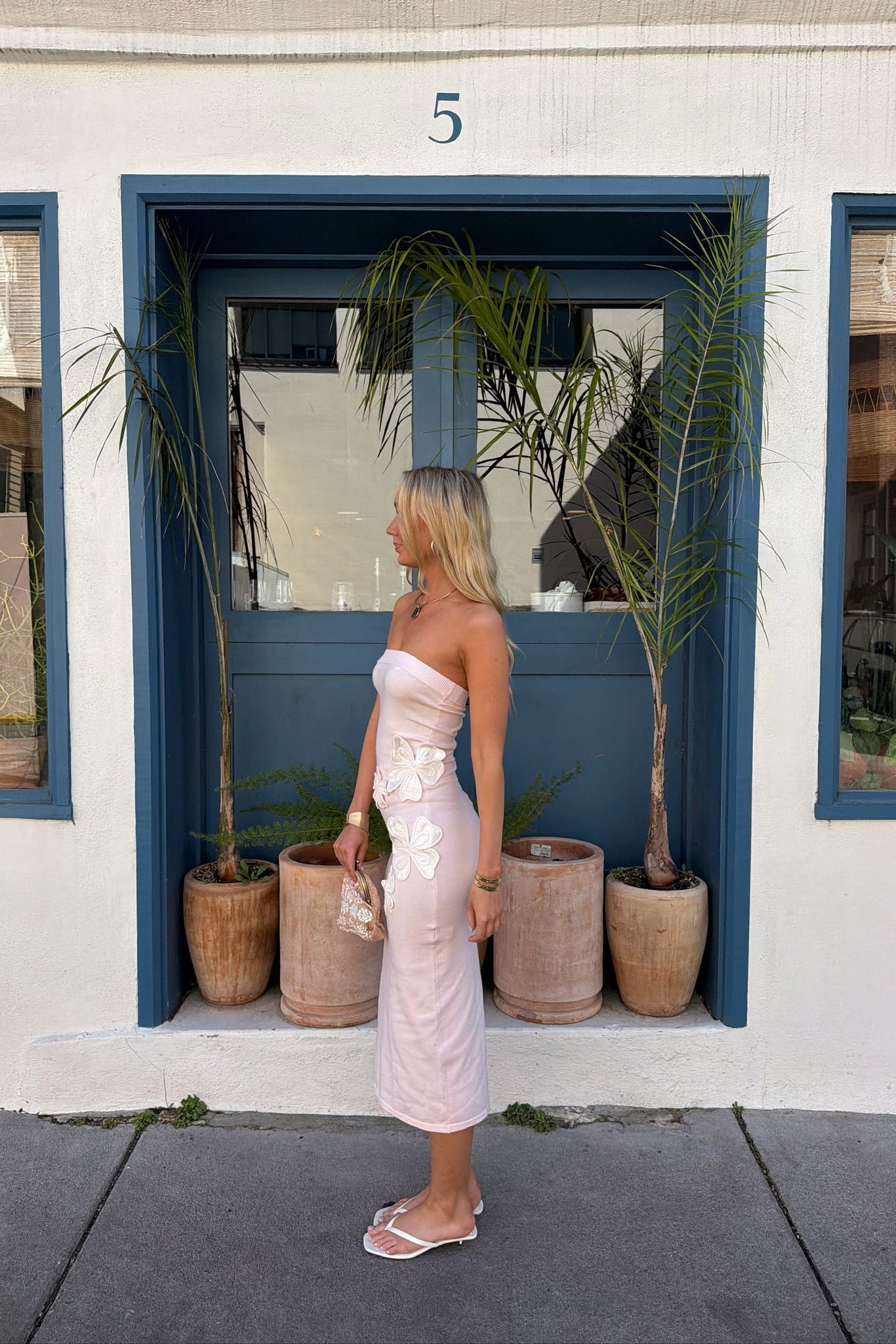 Pale Bloom Dress